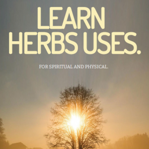 Learn Herbs Uses For Spiritual and Physical: eBook
