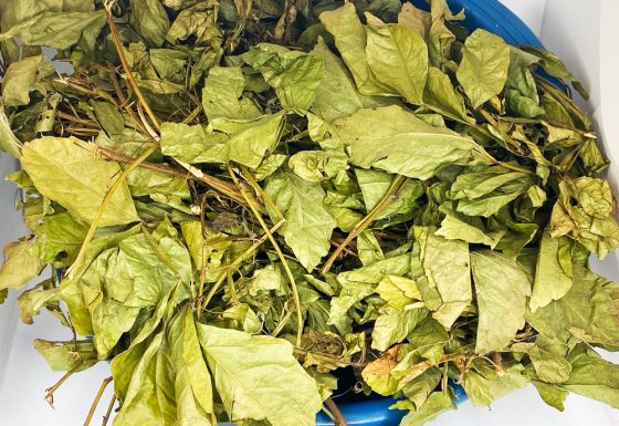 Herbal Spiritual Bath