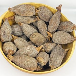Alligator Pepper