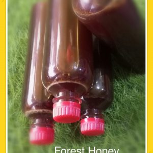 Organic Forest Honey.