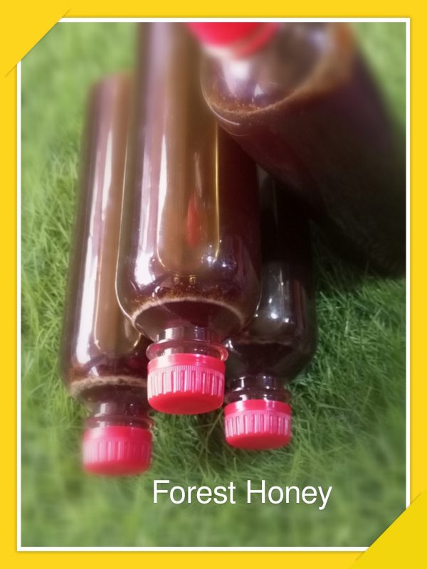 Organic Forest Honey.